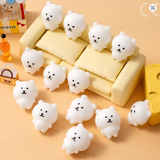 Silly Bear Squishy